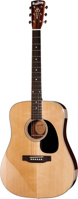 Blueridge BR60 (Blueridge BR 60) - EasyZic
